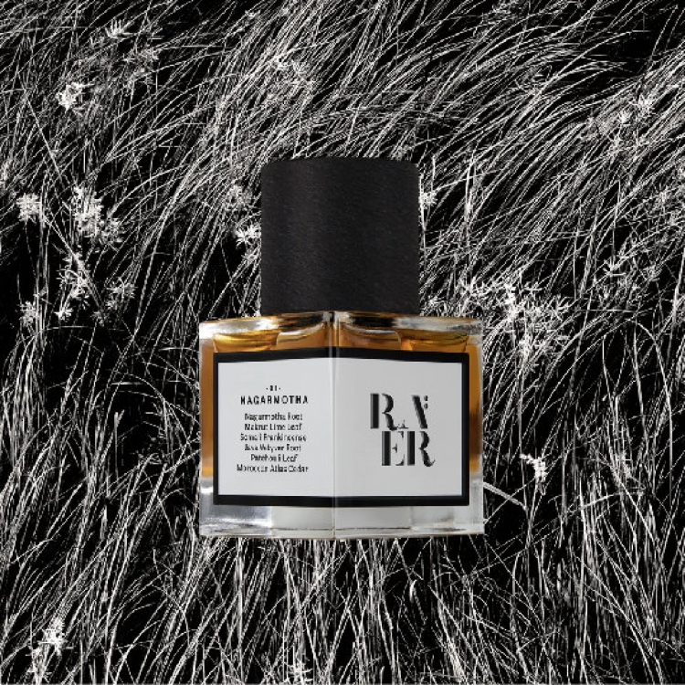 Accord No. 01: NAGARMOTHA