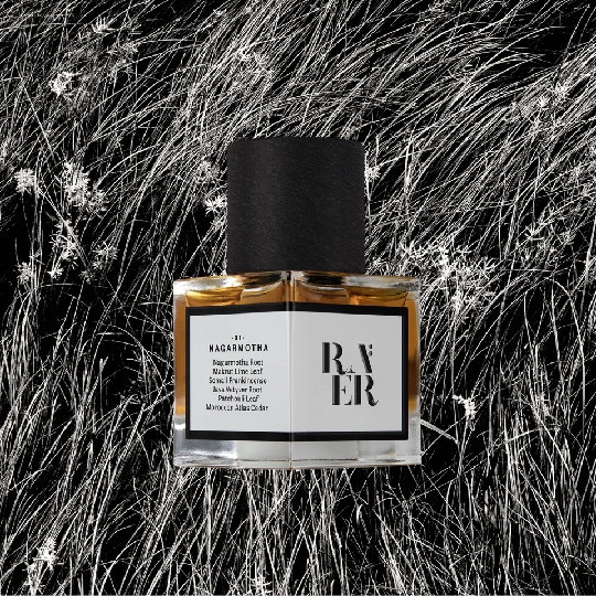 Accord No. 01: NAGARMOTHA